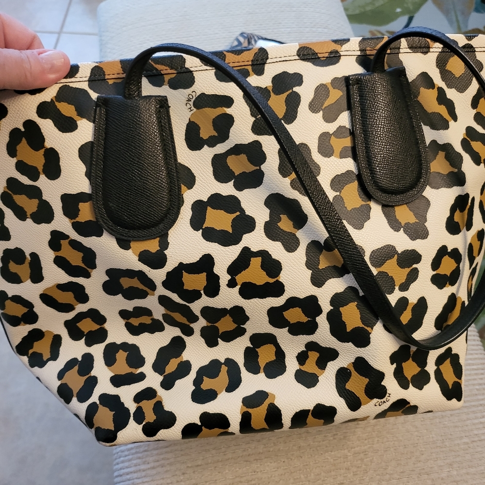Coach Safari Set - Picture 2 of 11